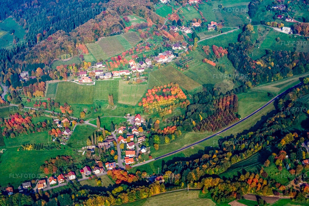 Luftbild: Laufbachstr im Ortsteil Lochwald in Lauf im Bundesland Baden-Württemberg in Deutschland. Foto: IMG_13958.jpg vom 11.10.2008 durch Werner Riehm/FLY-FOTO.de