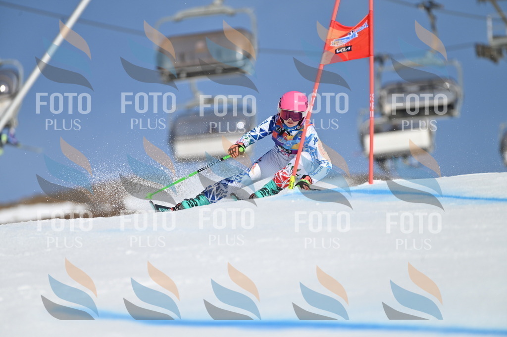 BGV_8657 | holidayphoto