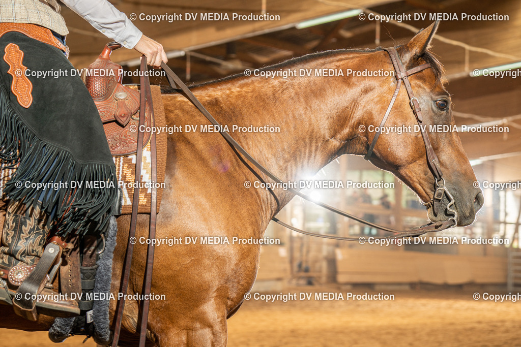 NID01670 | dv-media-shop - Realisiert mit Pictrs.com