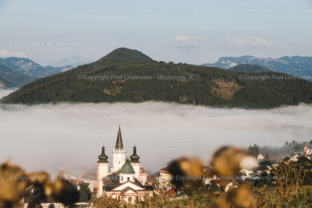 Basilika Mariazell Herbstnebel Stehralm-28546 | Fotos und Fotoprodukte - Realisiert mit Pictrs.com