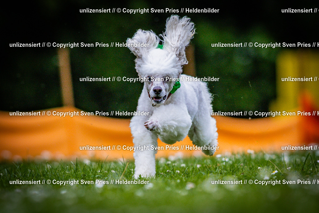 Sven Pries | 2025-05-29 - Pudelrennen KA-Durlach - Realisiert mit Pictrs.com