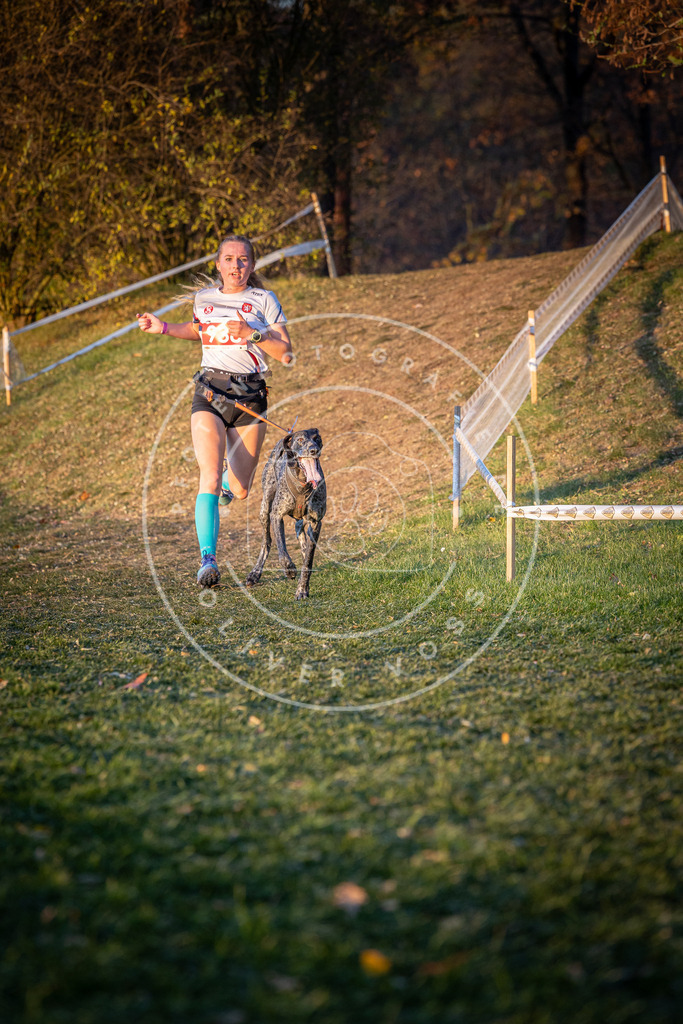 CaniXpix_0L8A1820 | Hundefotografie, Tierfotograf, Pfotenfotografie, Fotoshooting Hund, Hunde Portrait, Hundesport, Hundeportraits, Heideshooting, Hunde, Sportfotograf, Hundefotograf, Turnierhundsport, THS,  - Realisiert mit Pictrs.com