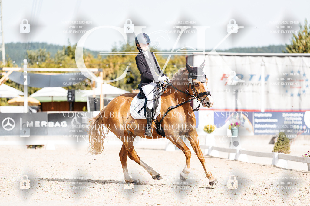 CK905381 | Turnierfotografie Pferdefotografie Trier Rheinland-Pfalz Pferdesport Reitsport Tierfotografie Sportfotografie Pferdevideo Pferdevideografie Equestrianvideography equestrianphotography  - Realisiert mit Pictrs.com