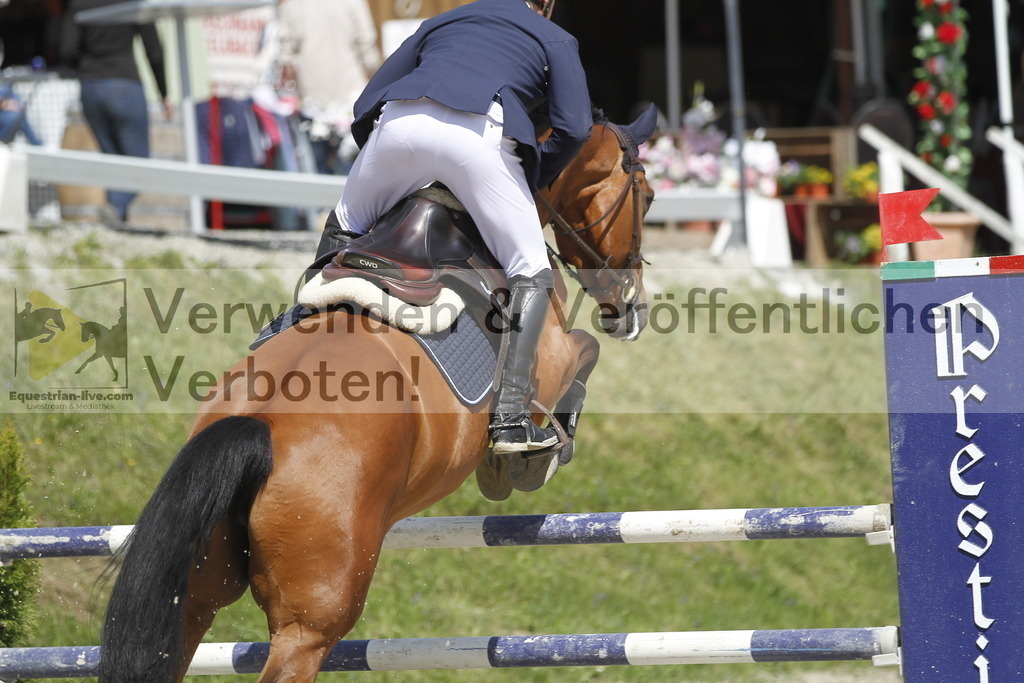 _MG_5203 | equestrian-live-com