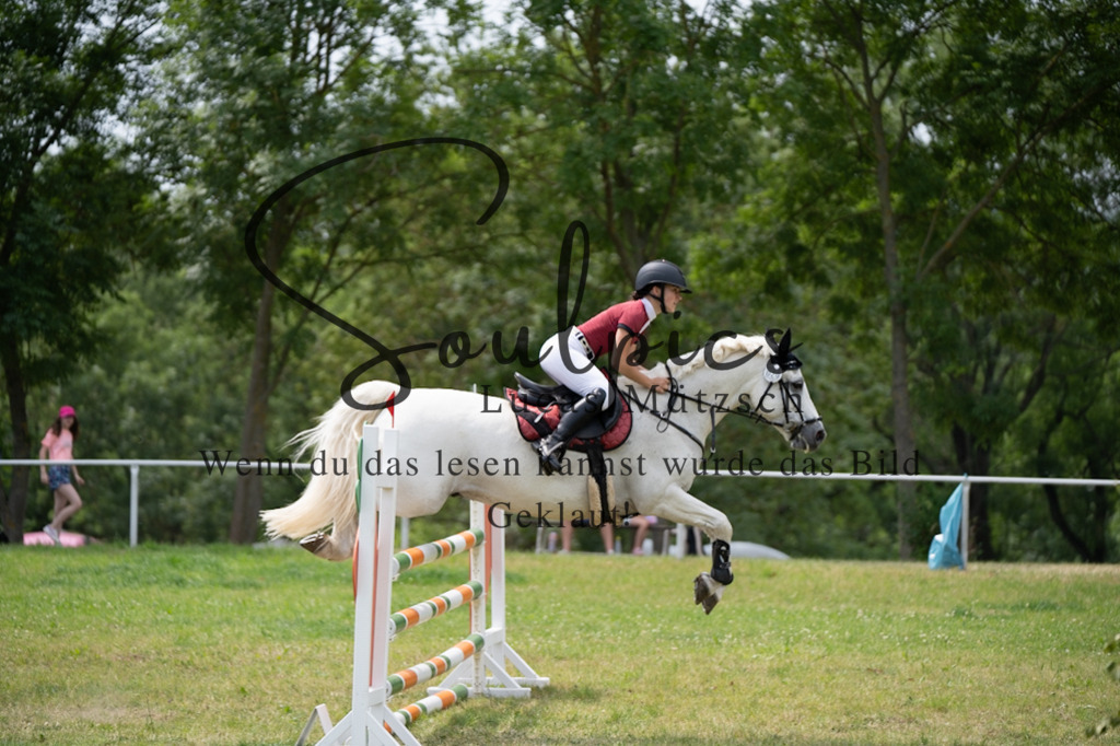 A7V06929 | Pferdefotograf