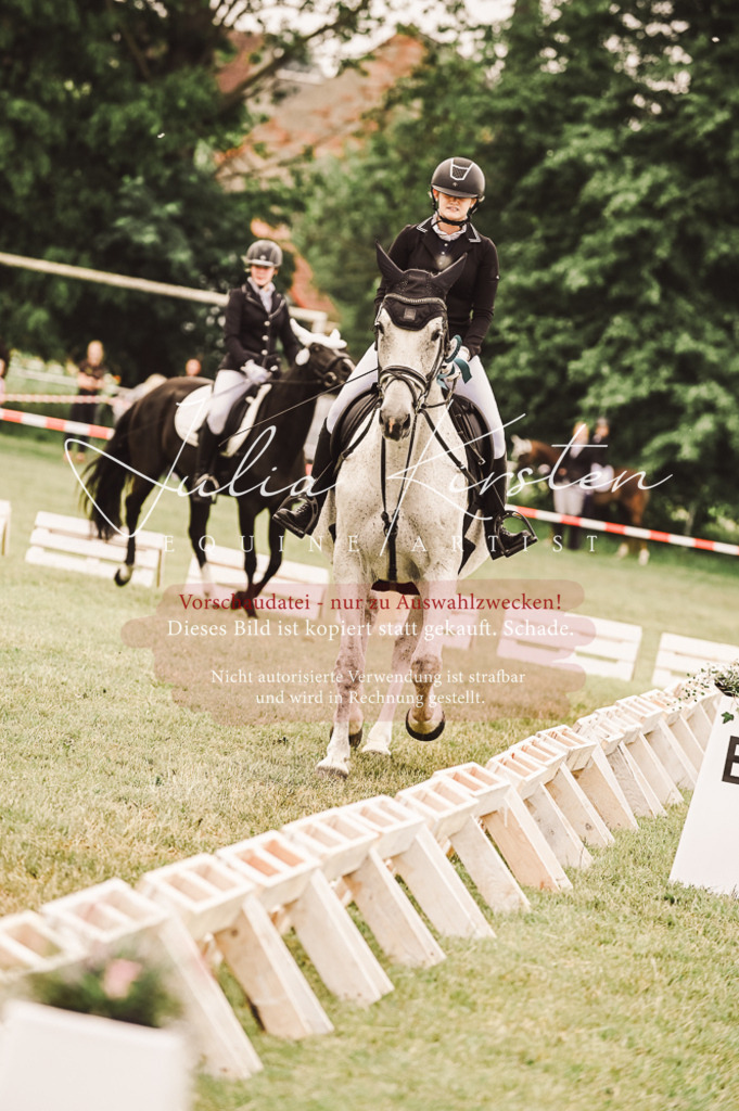 DSC_5174 | Pferde- und Turnierfotografie in Westsachsen. Pferdeportraits, Auftragszeichnungen und intuitive Kunst.