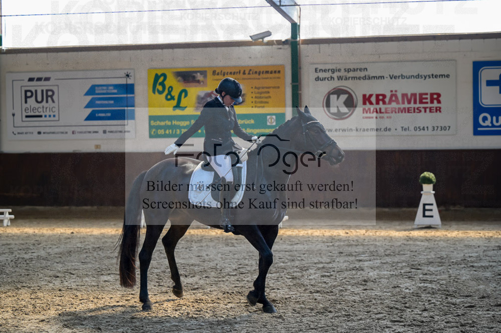 Reitturnier Voxtrup | Entdecke hochwertige Reitturnierfotos von Foto Oger. Professionell, emotional und authentisch – jetzt Lieblingsmomente im Shop bestellen.Deutschlandweite Turnierfotografie. - Realisiert mit Pictrs.com