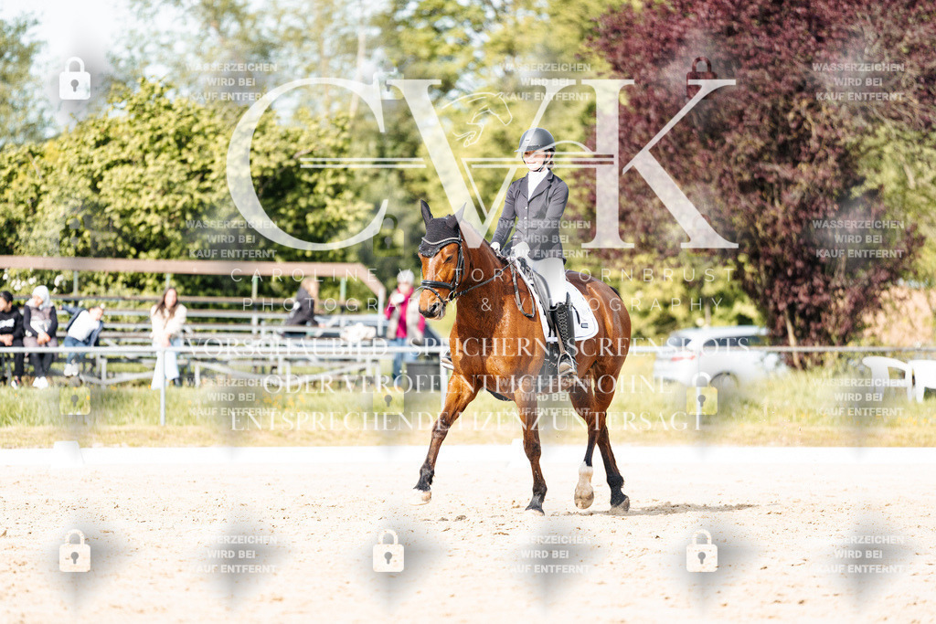 CK900415 | Turnierfotografie Pferdefotografie Trier Rheinland-Pfalz Pferdesport Reitsport Tierfotografie Sportfotografie Pferdevideo Pferdevideografie Equestrianvideography equestrianphotography  - Realisiert mit Pictrs.com