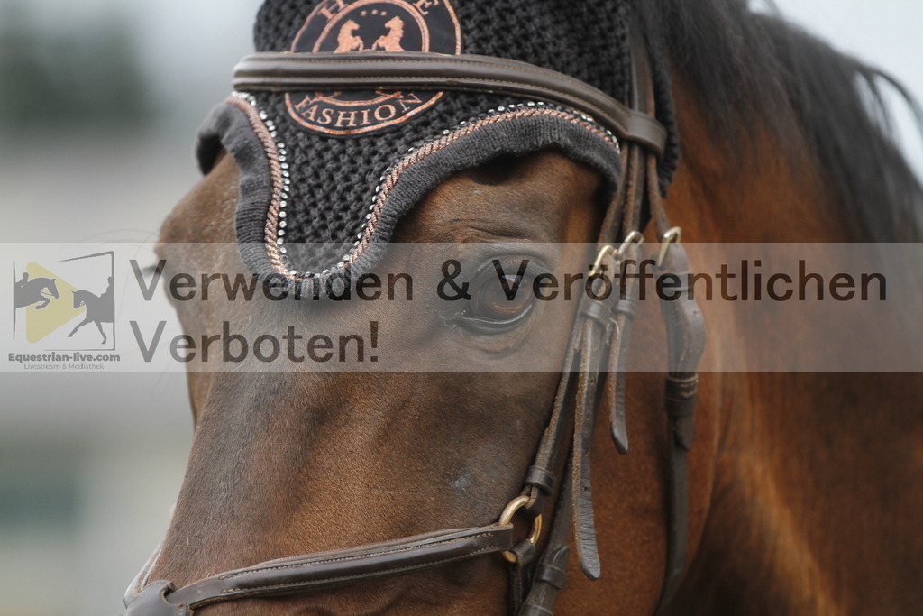 _MG_8363 | equestrian-live-com