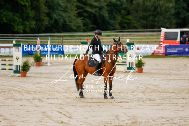 _62_8949 | larahueckfotografie