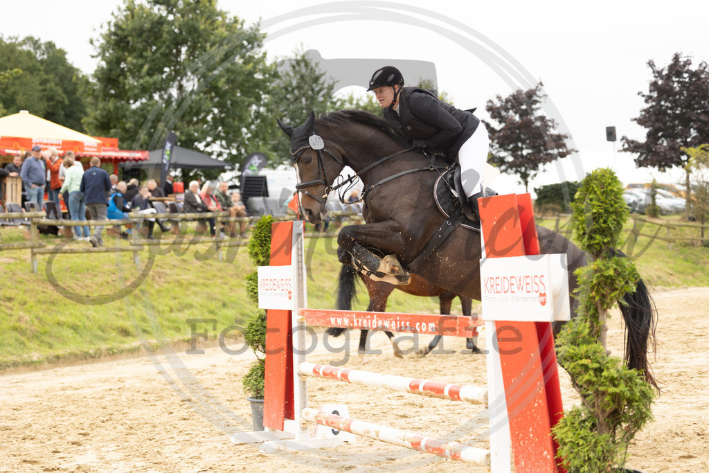 994A9012 | sabrinanicolaifotografie - Realisiert mit Pictrs.com