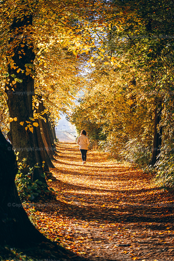 _DSC7075 | Leipzig Wandbilder Drucke Prints Leinwand Stadtmotive Leipzig Fotosdruck Kunstdrucke Bilder Leipzig Stadtansichten Acrylglasbilder Leipzig Wanddeko Fine Art Prints Wandbilder Büro Leipzig Bilder Praxis Zuhause Bilderdruck Poster Posterlounge Kunstdrucke - Realisiert mit Pictrs.com