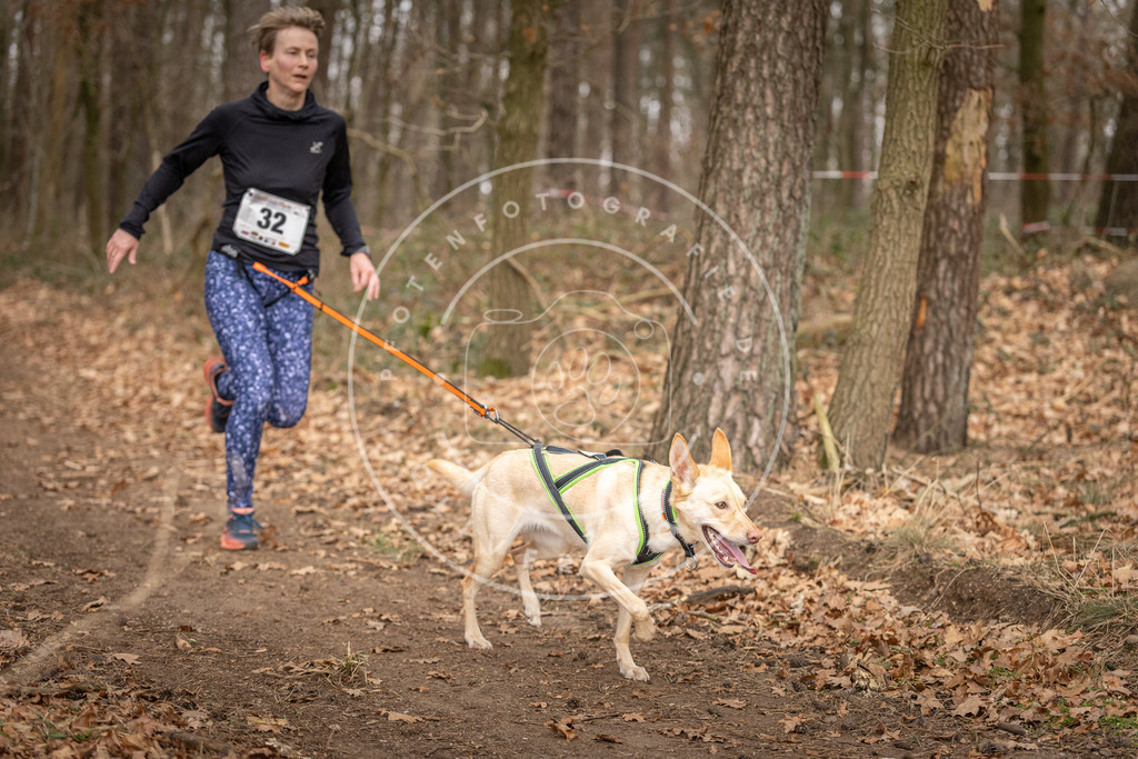 Pfotenfotografie_DV3A9497 | Hundefotografie, Tierfotograf, Pfotenfotografie, Fotoshooting Hund, Hunde Portrait, Hundesport, Hundeportraits, Heideshooting, Hunde, Sportfotograf, Hundefotograf, Turnierhundsport, THS,  - Realisiert mit Pictrs.com