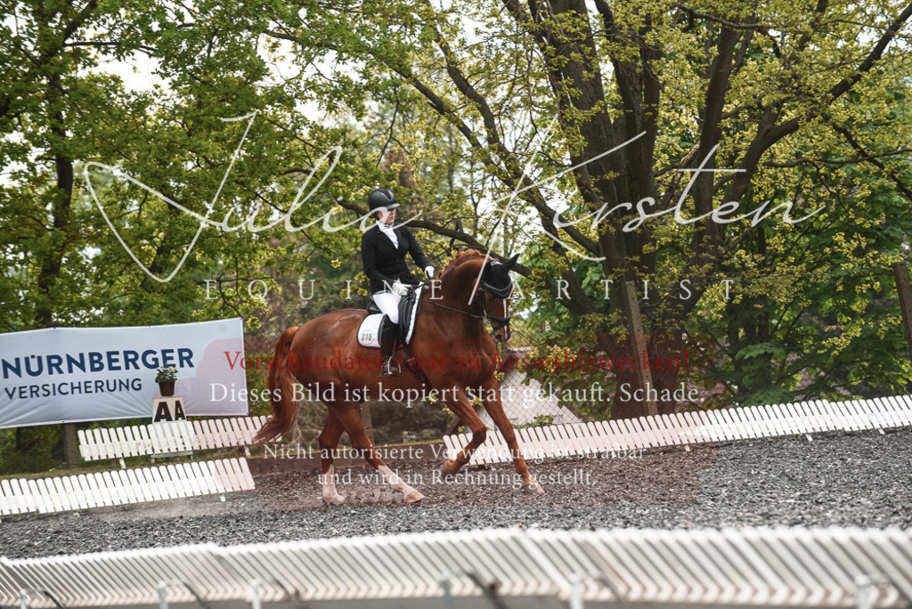 20230514_JK-Röhrsdorf-24-066 | Pferde- und Turnierfotografie in Westsachsen. Pferdeportraits, Auftragszeichnungen und intuitive Kunst.