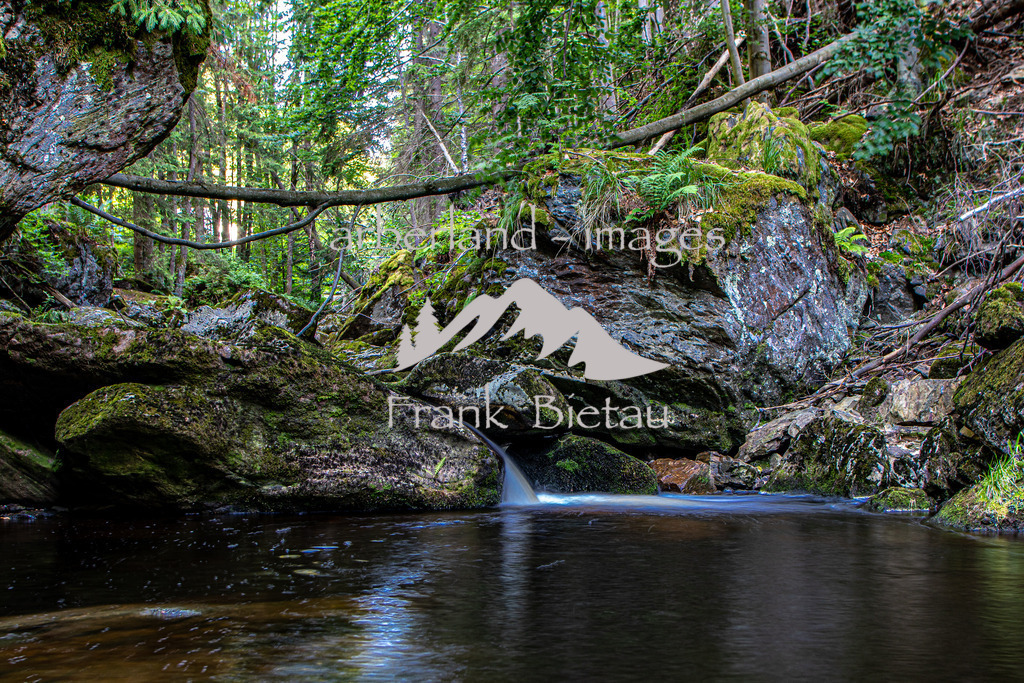 OE7A5220 | wildes Wasser und wilder Wald, mitten im Bayerischen Wald. Die Felsenschlucht wird oft auch als Naturjuwel bezeichnet und ist das Ziel vieler Wanderer.