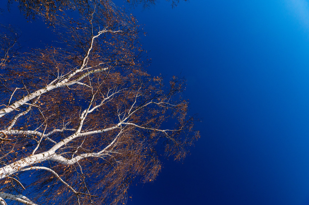 2022_12_17_HETLINGER-SCHANZE_MCP6306 | Hochwertig gedruckte Fotografien für die Wand, als Kalender und zum Verschenken. Hamburg & Norddeutschland und überall wo ich mit der Kamera unterwegs war.