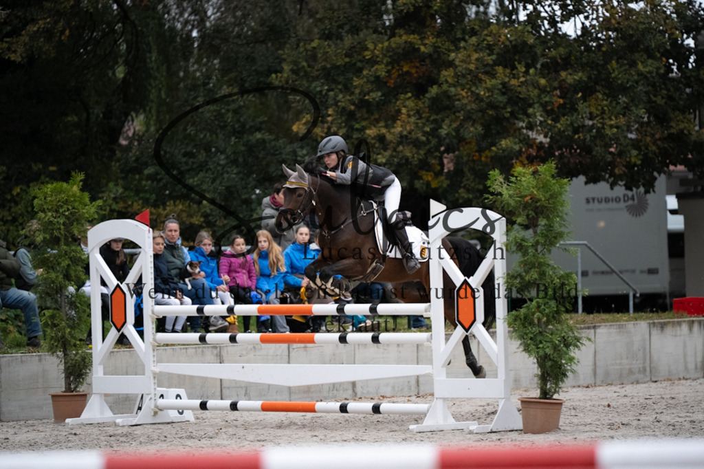 A7V08882 | Pferdefotograf