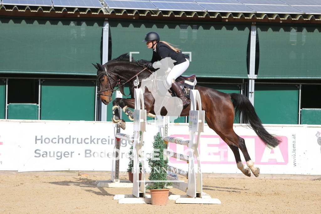 DL2Q5361 | Willkommen bei Brunnmayr - Design & Fotografie – Ihrem Spezialisten für Reitturniere und Pferdeveranstaltungen in Oberösterreich, Salzburg und Bayern! Seit über 17 Jahren sind wir leidenschaftlich dabei.