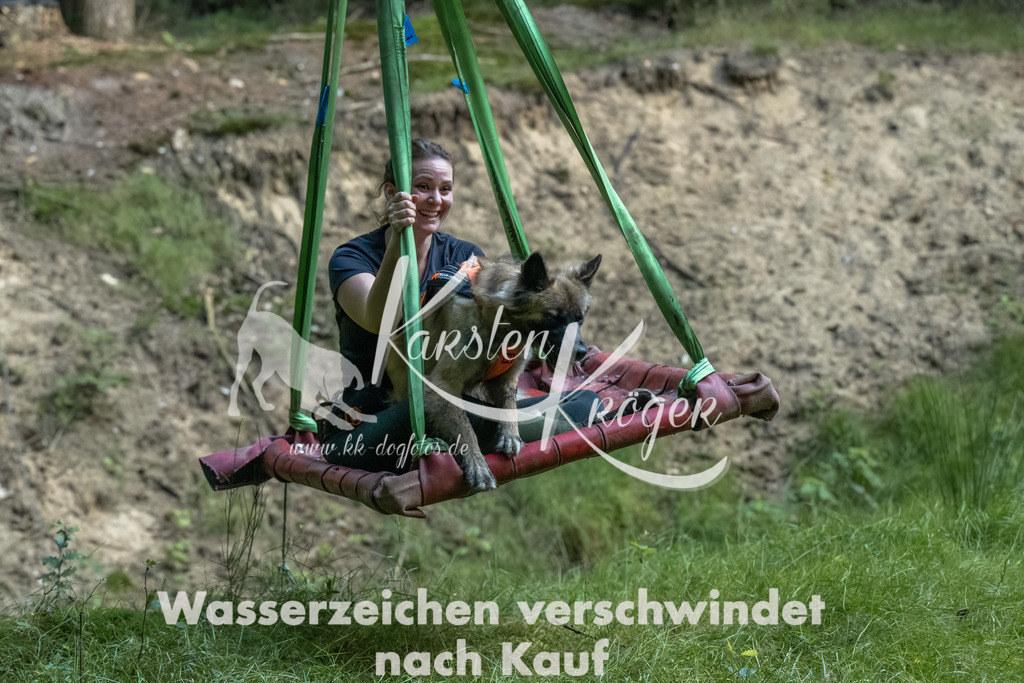 0910_ZZ90471-Bearbeitet | kk-dogfotos