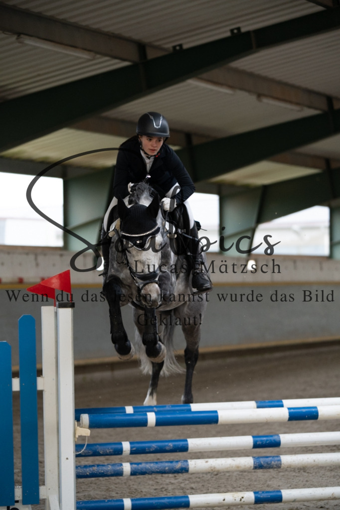 A7V07168 | Pferdefotograf