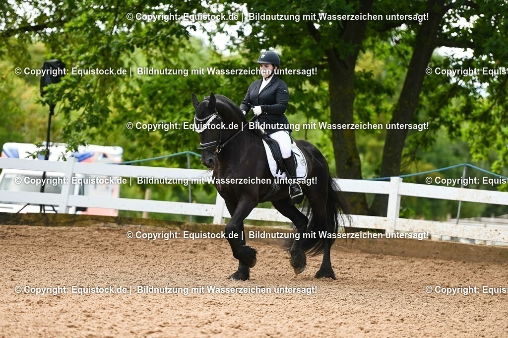 20230716_04_Dressurreiterprüfung Kl.A_0333 | equistock