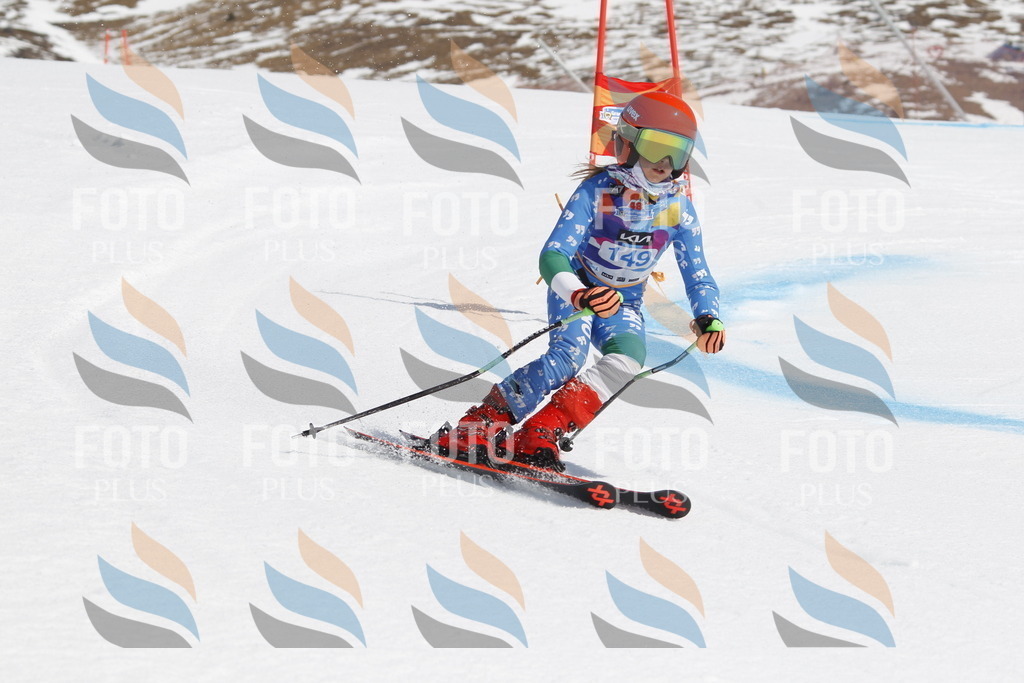 _U3G1208 | holidayphoto