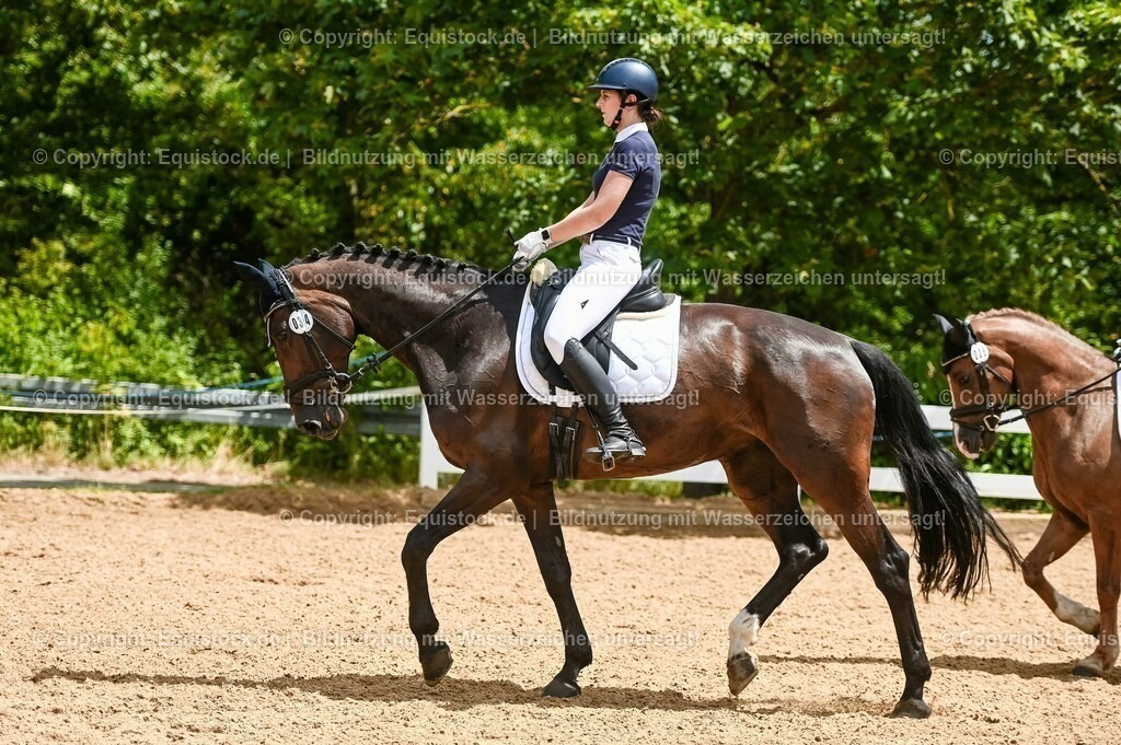 20230715_05_Dressurprüfung Kl.A++_0195 | equistock