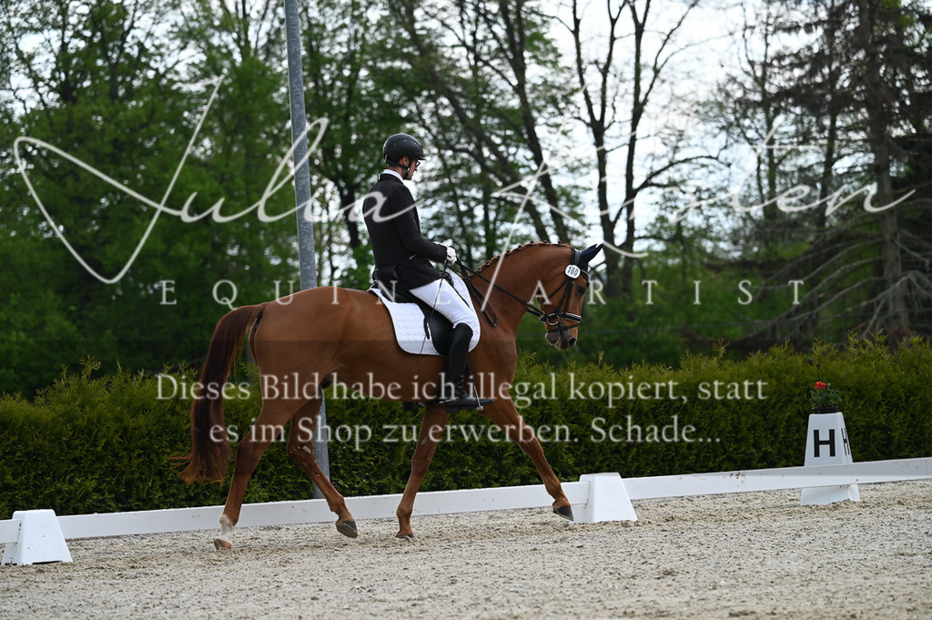20230512_JK-Röhrsdorf-03-020 | Pferde- und Turnierfotografie in Westsachsen. Pferdeportraits, Auftragszeichnungen und intuitive Kunst.