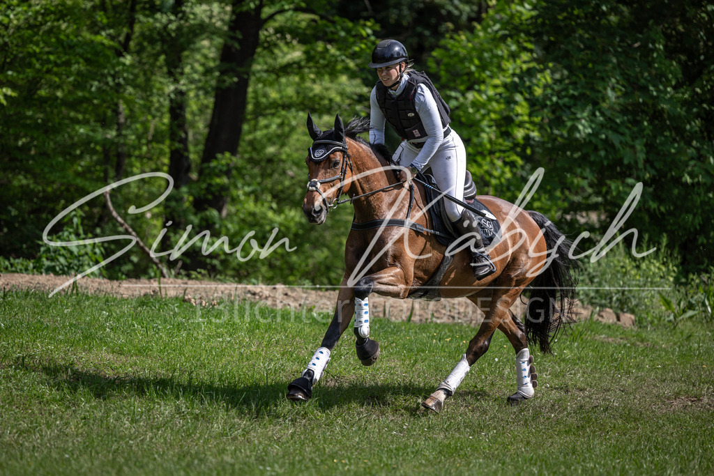 20260523-_3LI9988 | Tierfotografie Pferde, Hunde, Katzen, Haustiere.
Turnierfotografie Reitturniere, Reiten, Springreiten, Dressur in Hanau, dem Main-Kinzig-Kreis und dem Rhein-Main- Gebiet um Frankfurt