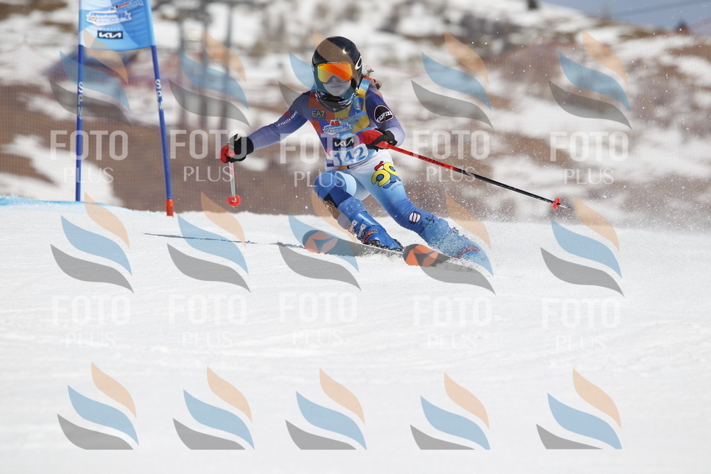 _U3G1065 | holidayphoto