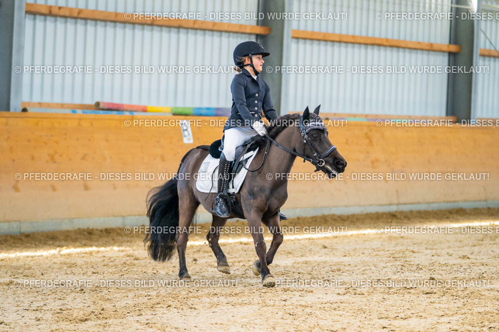 DSC06713 | Pferdegrafie