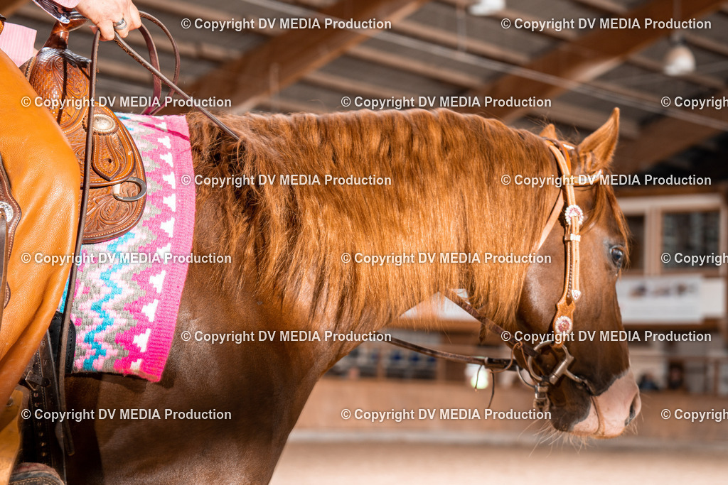 Heidelberg Tag 2-372 | dv-media-shop - Realisiert mit Pictrs.com