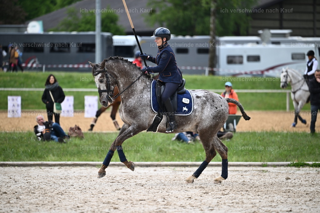 PI26_SP_Sara_Landvogt_226_5265.JPG | working equitationturnier fotograf videograf stoibphotography marixx film working equitation deutschland reitsport turnierfotografie eventfotografie equestrian events