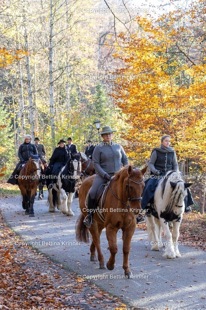 LL24-292 | foto-bettina-krinner - Realisiert mit Pictrs.com