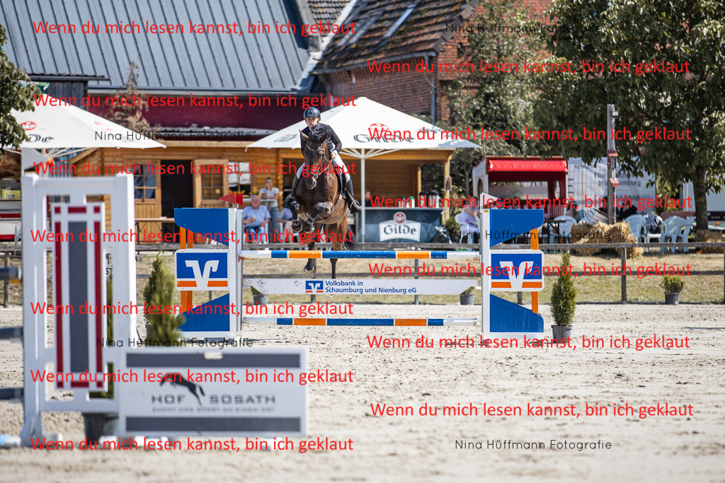BK1A6733 | Turnierbilder Turnierfotos Nina Hüffmann Turnierfotografie Pferdefotografie Tierzeichnung Haustierzeichnung Pferdezeichnung Hundezeichnung Videograf  - Realisiert mit Pictrs.com