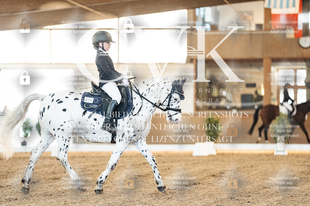 CK906388 | Turnierfotografie Pferdefotografie Trier Rheinland-Pfalz Pferdesport Reitsport Tierfotografie Sportfotografie Pferdevideo Pferdevideografie Equestrianvideography equestrianphotography  - Realisiert mit Pictrs.com