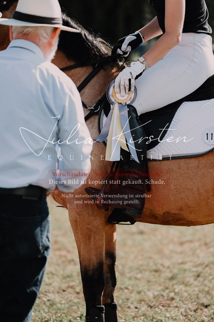DSC_4909 | Pferde- und Turnierfotografie in Westsachsen. Pferdeportraits, Auftragszeichnungen und intuitive Kunst.