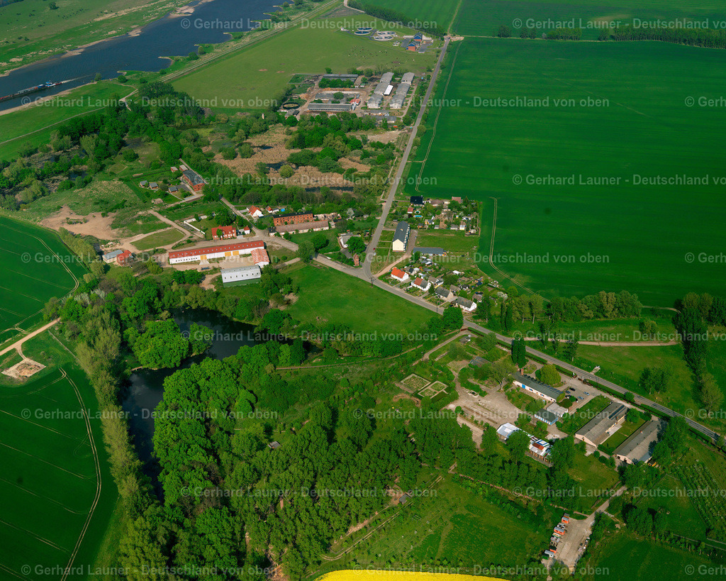 2709960 | Blumenthal