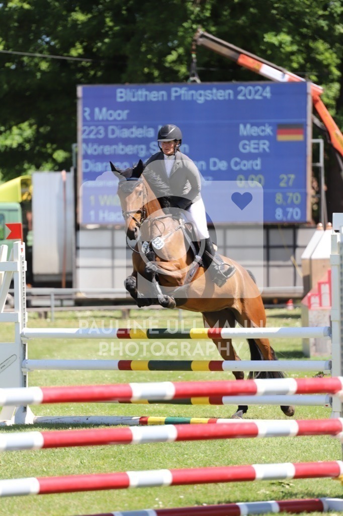 IMG_6312 | Pauline Ullmann Photography - Realisiert mit Pictrs.com