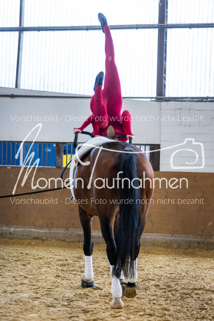 Einzel-075 | MomenTaufnahmen Pferdesportfotos