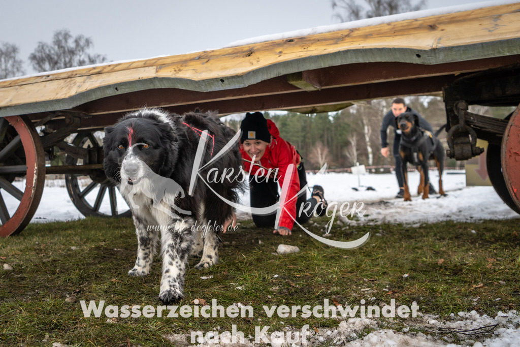 0939_ZZ91167 | kk-dogfotos