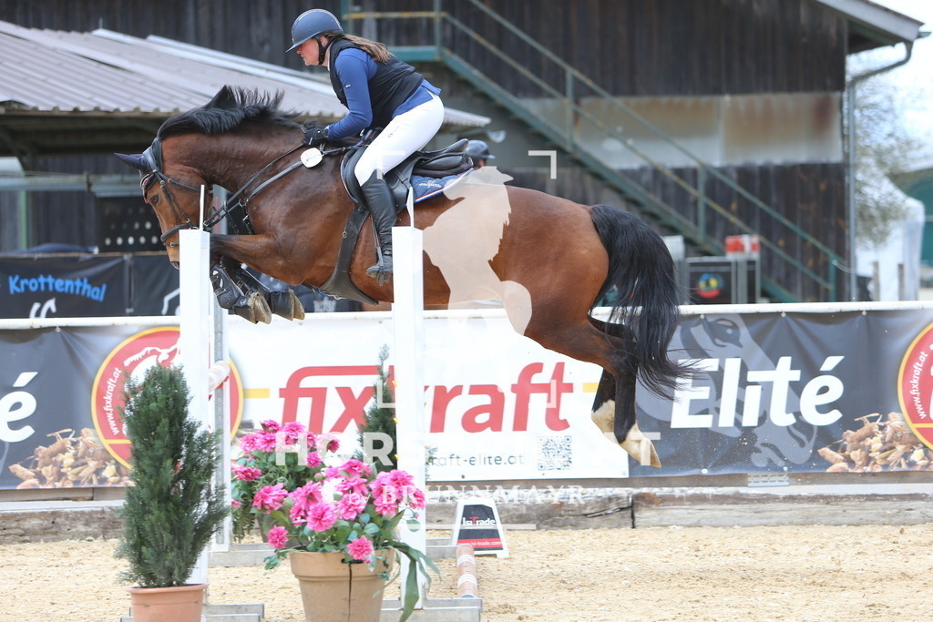 DL2Q9726 | Willkommen bei Brunnmayr - Design & Fotografie – Ihrem Spezialisten für Reitturniere und Pferdeveranstaltungen in Oberösterreich, Salzburg und Bayern! Seit über 17 Jahren sind wir leidenschaftlich dabei.