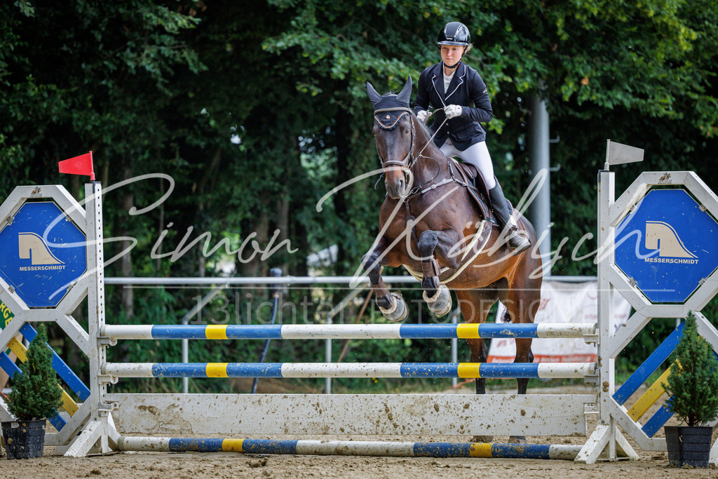 20260705-_3LI5118 | Tierfotografie Pferde, Hunde, Katzen, Haustiere.
Turnierfotografie Reitturniere, Reiten, Springreiten, Dressur in Hanau, dem Main-Kinzig-Kreis und dem Rhein-Main- Gebiet um Frankfurt