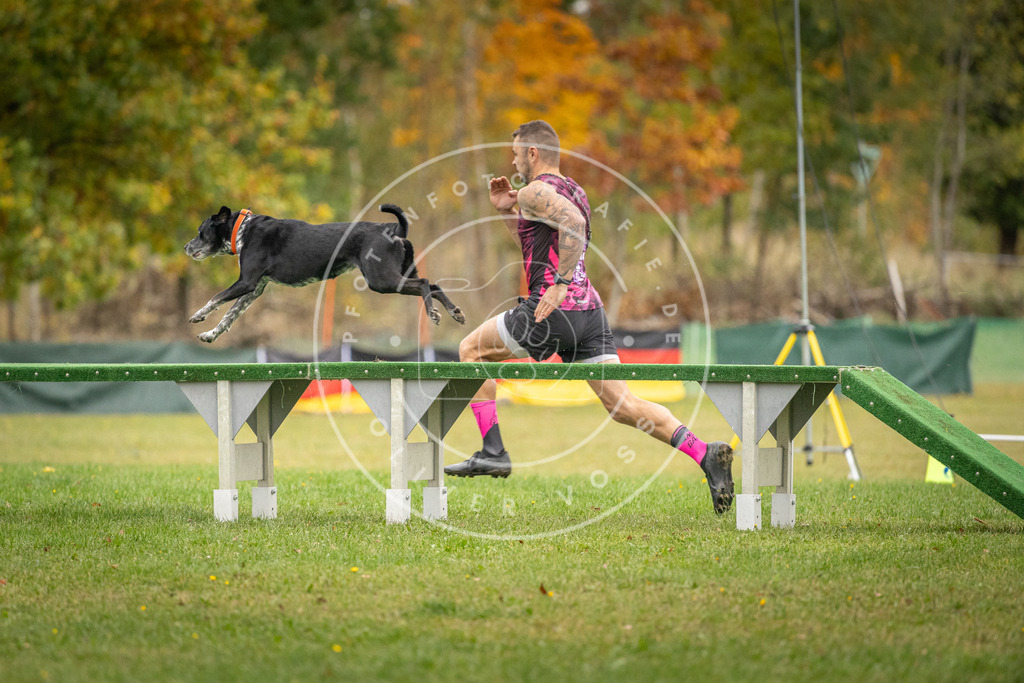 Pfotenfotografie_DV3A9824 | Hundefotografie, Tierfotograf, Pfotenfotografie, Fotoshooting Hund, Hunde Portrait, Hundesport, Hundeportraits, Heideshooting, Hunde, Sportfotograf, Hundefotograf, Turnierhundsport, THS,  - Realisiert mit Pictrs.com