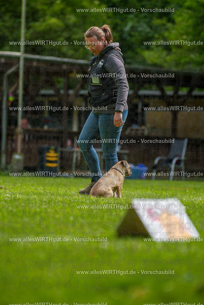 @allesWIRTHgut_Tierfotografie - www.allesWIRTHgut.de - 7R501973 | Professionelle Tierfotografie in Mönchengladbach von Daniel Wirth (allesWIRTHgut). Liebevolle & natürliche Bilder von Hunden & Katzen für unvergessliche Erinnerungen.