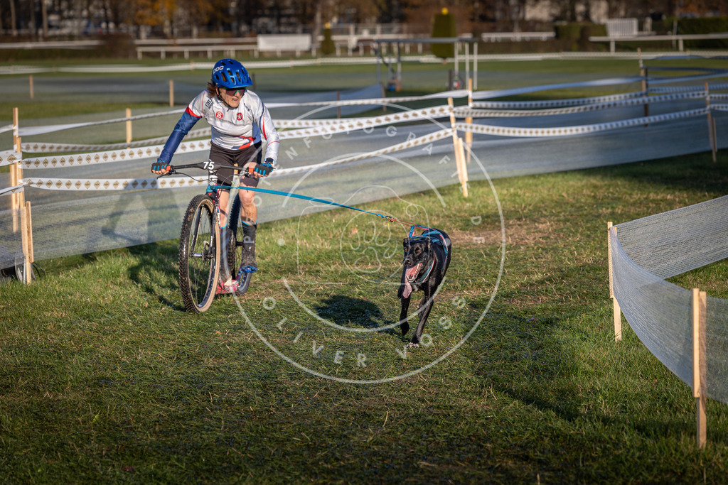 CaniXpix_0L8A3601 | Hundefotografie, Tierfotograf, Pfotenfotografie, Fotoshooting Hund, Hunde Portrait, Hundesport, Hundeportraits, Heideshooting, Hunde, Sportfotograf, Hundefotograf, Turnierhundsport, THS,  - Realisiert mit Pictrs.com