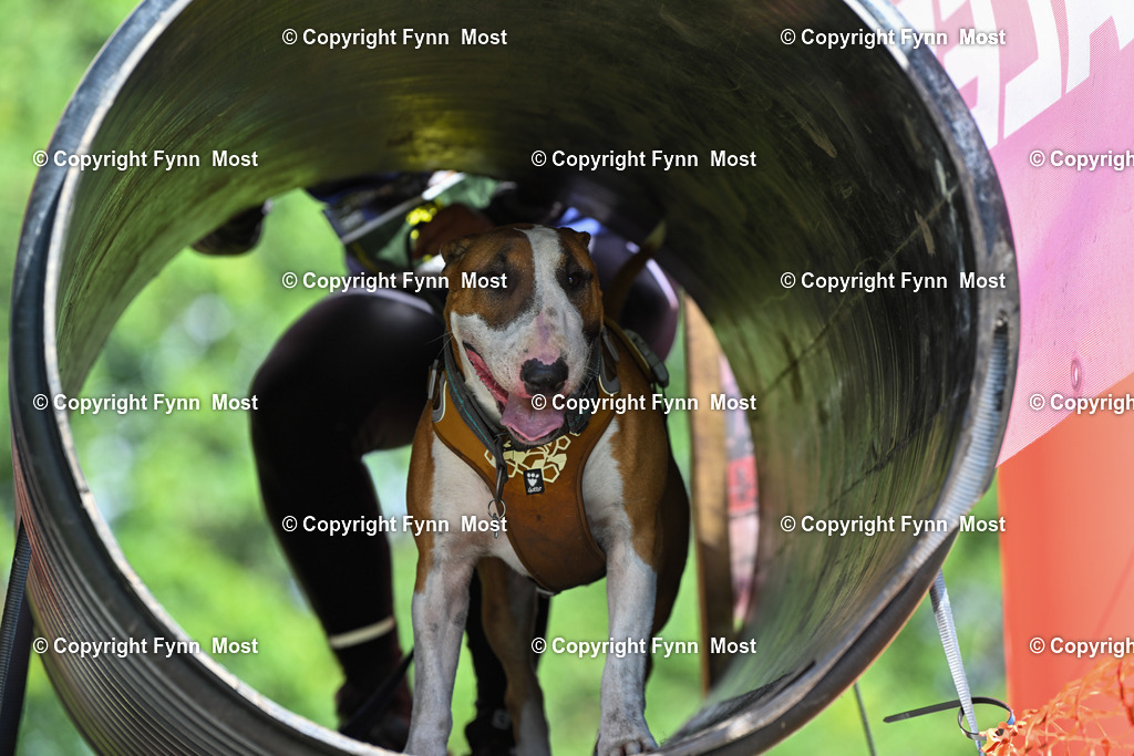 DSC_2186 | Hallo und herzlich Willkommen auf meiner Shop-Seite Fynn Most.

Ich wünsche Dir viel Spaß beim stöbern durch die Bilder, wenn Du Fragen hast oder Bilder vermisst, kannst du mir gerne eine Nachricht schreiben. - Realisiert mit Pictrs.com