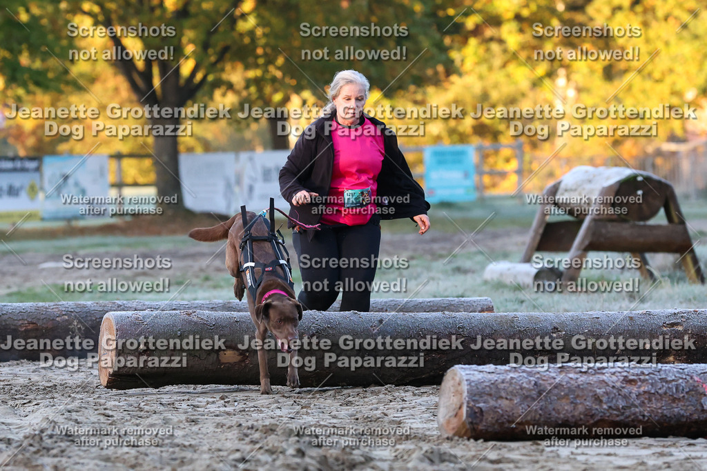 Dog Paparazzi - Strongdog 10-25-285 | Dog Paparazzi Jeanette Grottendiek Fotografie & Videografie - Realisiert mit Pictrs.com