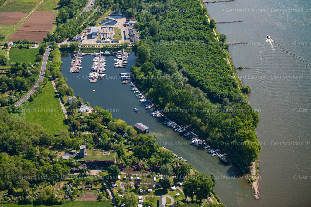 3800282 | Bootshafen bei Rüdesheim am Rhein