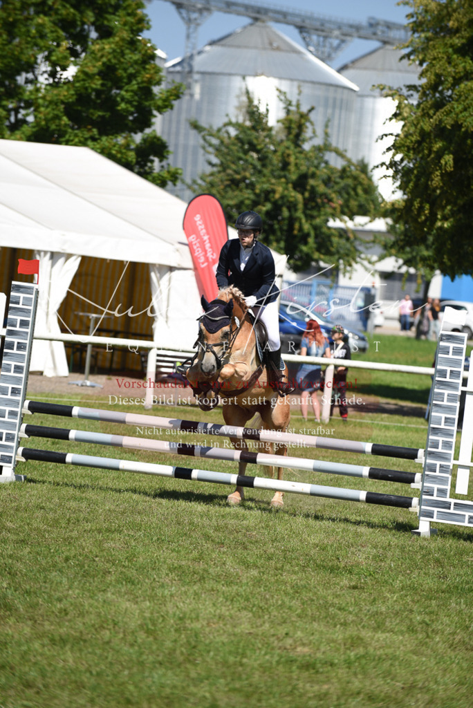 DSC_9502 | Pferde- und Turnierfotografie in Westsachsen. Pferdeportraits, Auftragszeichnungen und intuitive Kunst.